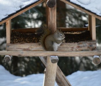 1148_slideshow